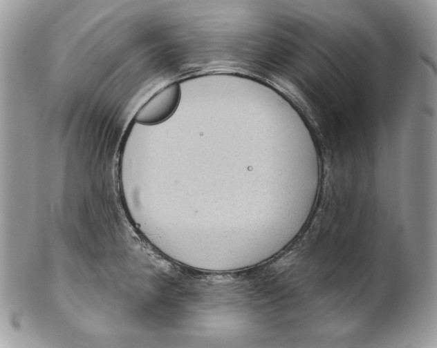 X0000101151190200807251041