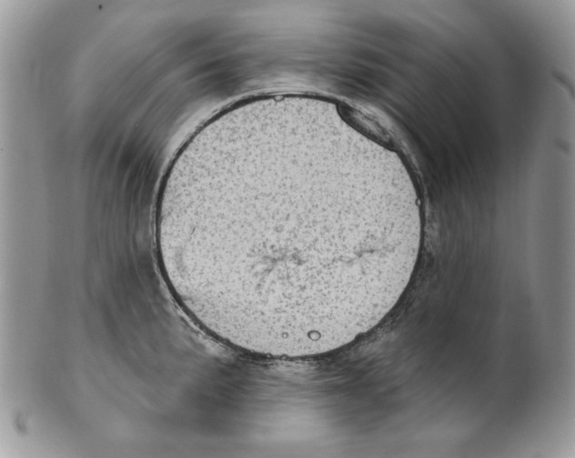 X0000101151191200807251041