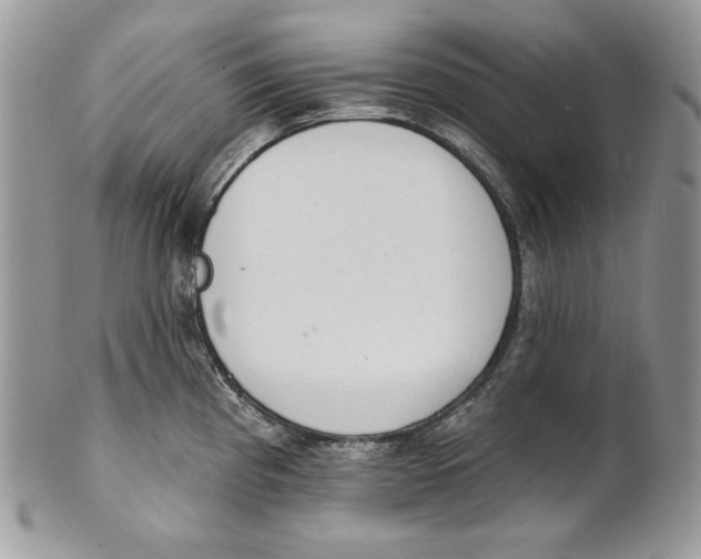 X0000101151193200807251041