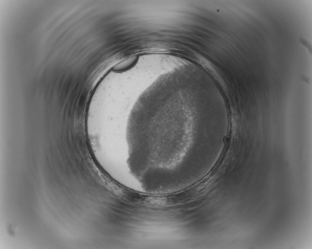 X0000101151194200807251041