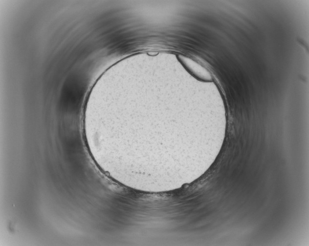 X0000101151195200807251041