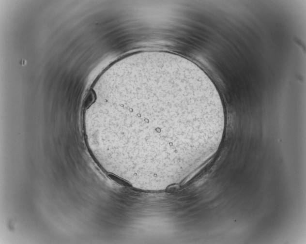 X0000101151196200807251041