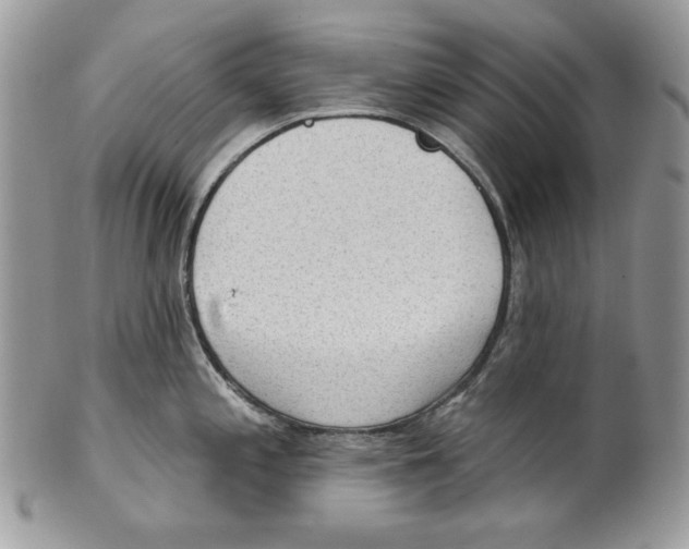 X0000101151197200807251041