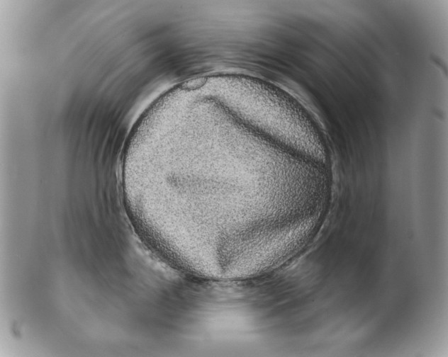 X0000101151198200807251041