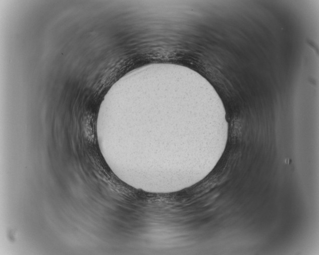 X0000101151202200807251040