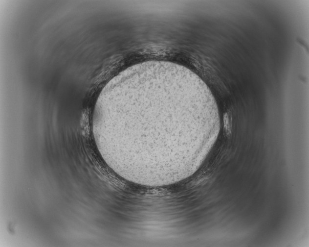 X0000101151203200807251040
