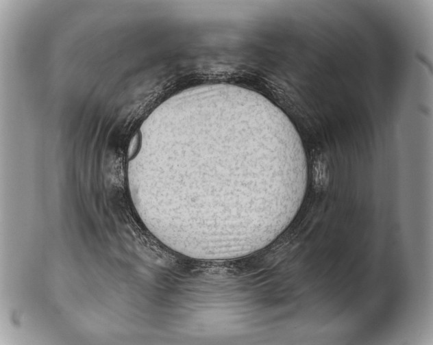 X0000101151204200807251040