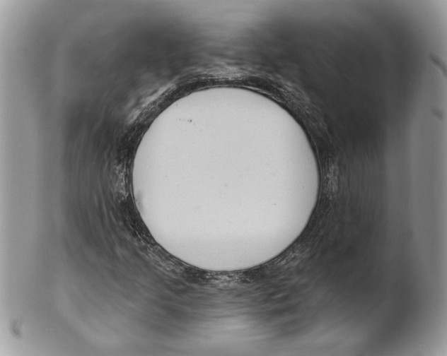 X0000101151205200807251040