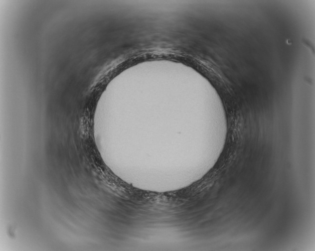 X0000101151207200807251040