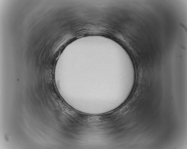 X0000101151211200807251040
