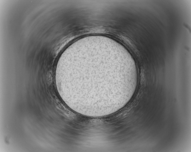 X0000101151212200807251040