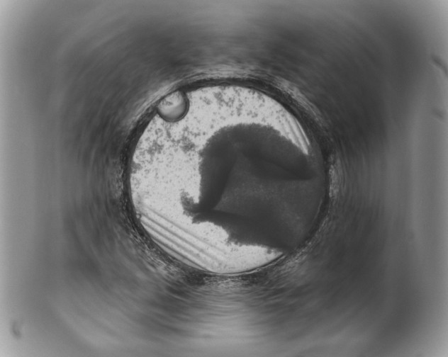 X0000101151213200807251040