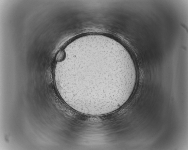 X0000101151215200807251040