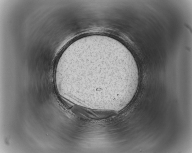 X0000101151216200807251040