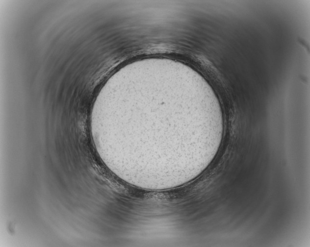 X0000101151217200807251040