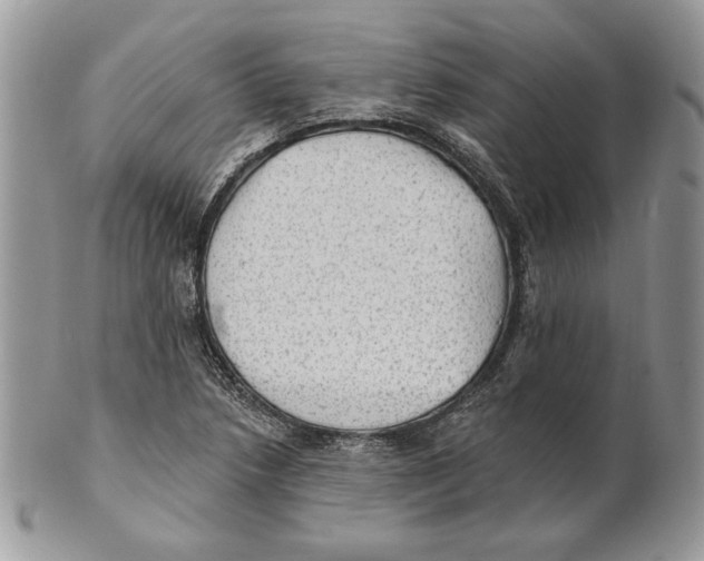 X0000101151218200807251040