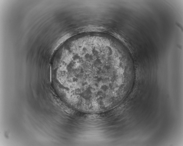 X0000101151219200807251040
