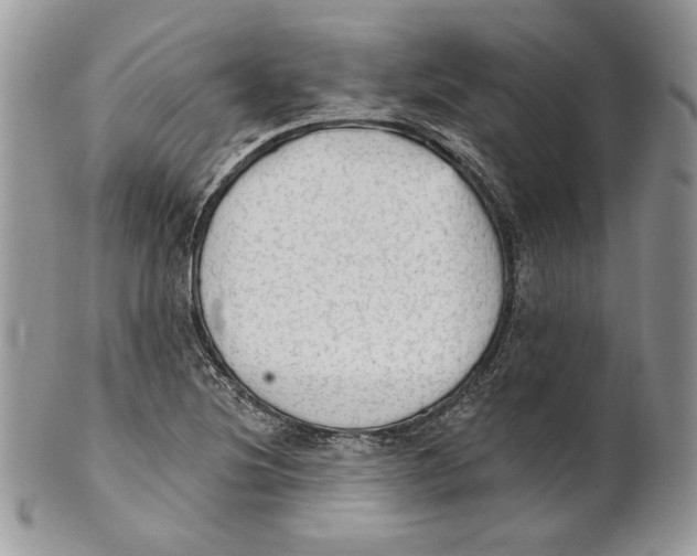 X0000101151220200807251040