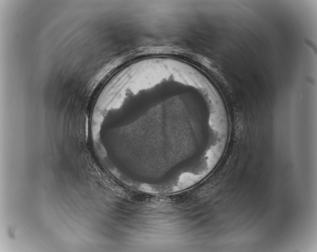 X0000101151221200807251040