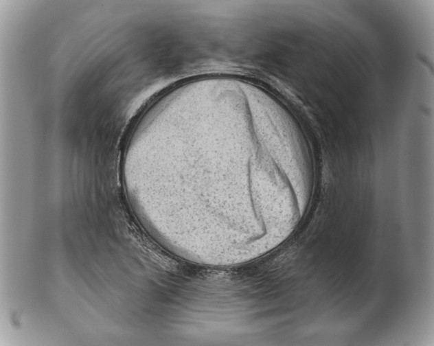 X0000101151222200807251040
