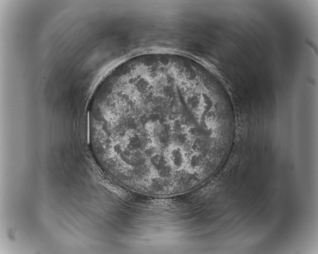 X0000101151223200807251040
