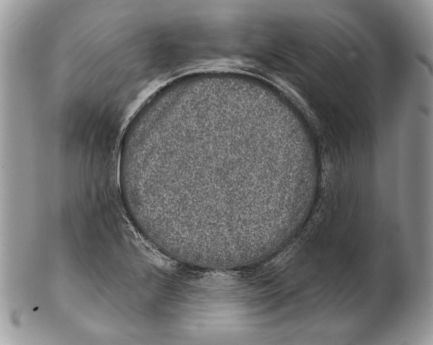 X0000101151224200807251041