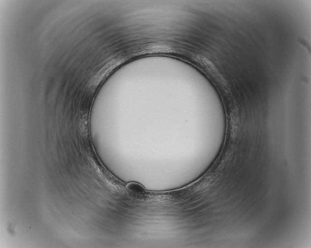 X0000101151225200807251041