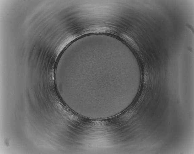 X0000101151226200807251041