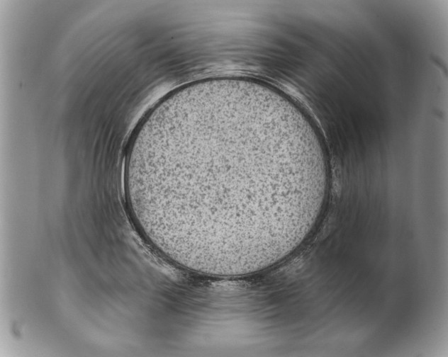 X0000101151227200807251041