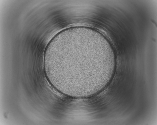 X0000101151228200807251041