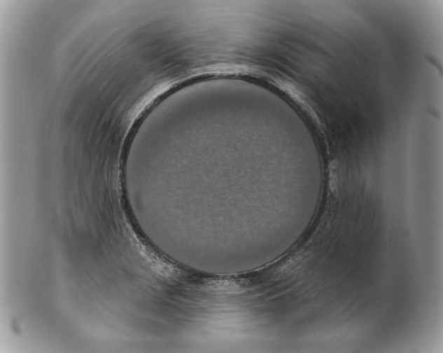 X0000101151229200807251041