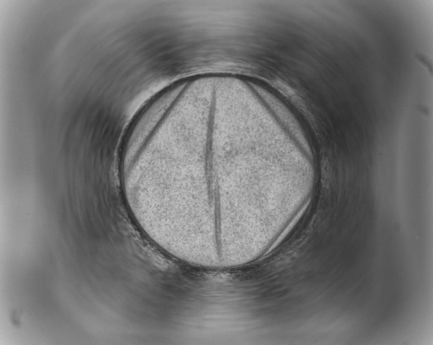 X0000101151230200807251041