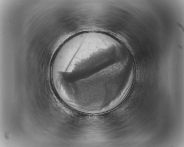 X0000101151231200807251041