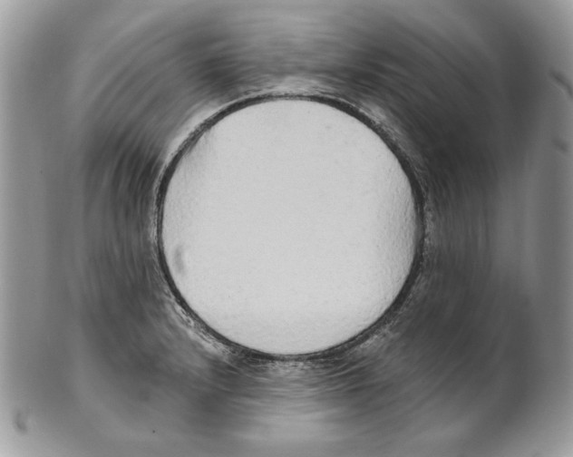 X0000101151232200807251041