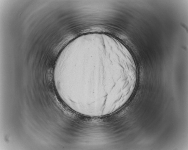 X0000101151233200807251041