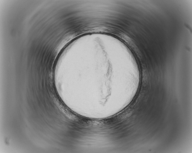 X0000101151234200807251041