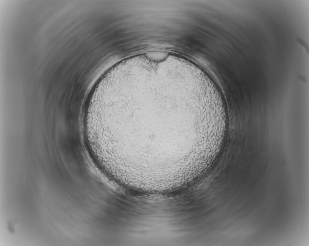X0000101151235200807251041