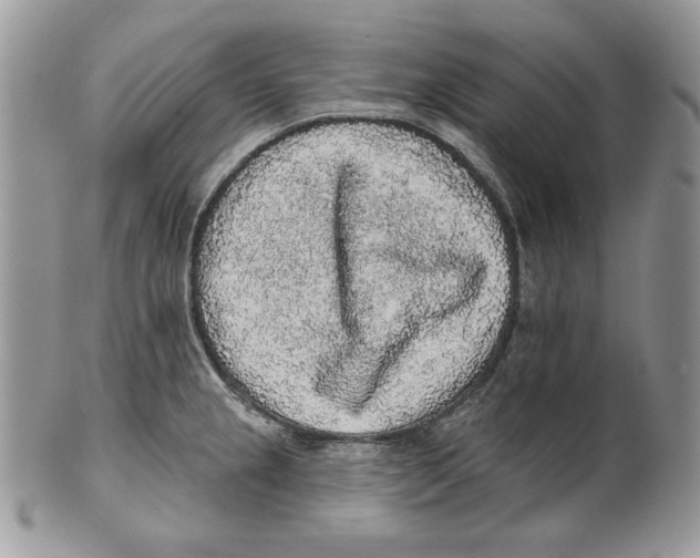 X0000101151237200807251041
