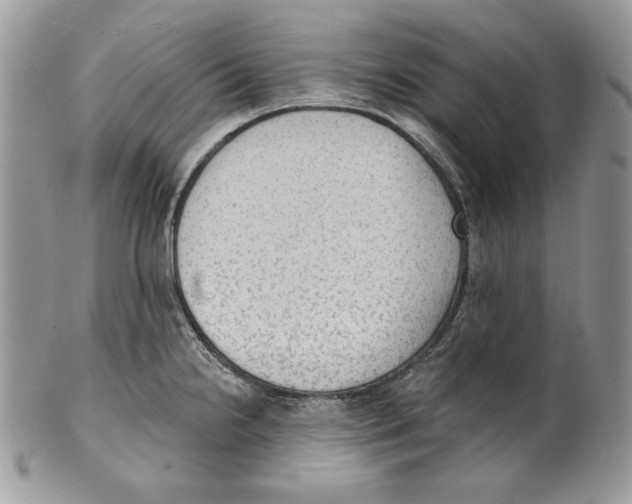 X0000101151238200807251041