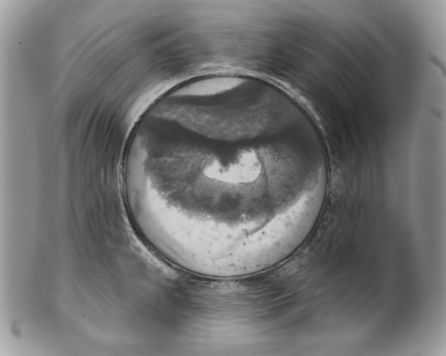 X0000101151239200807251041