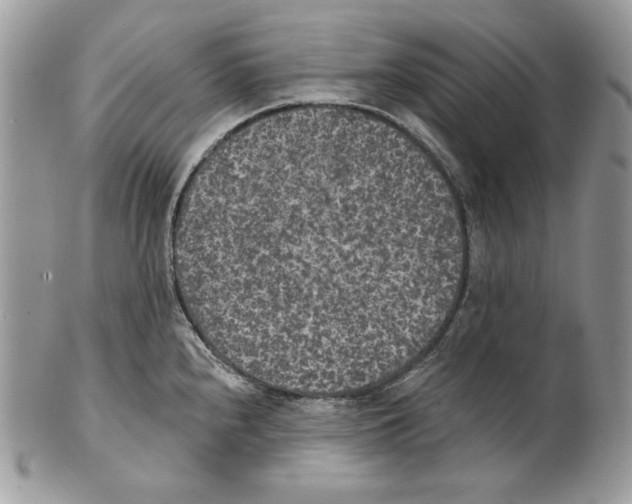 X0000101151240200807251041