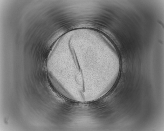 X0000101151241200807251041