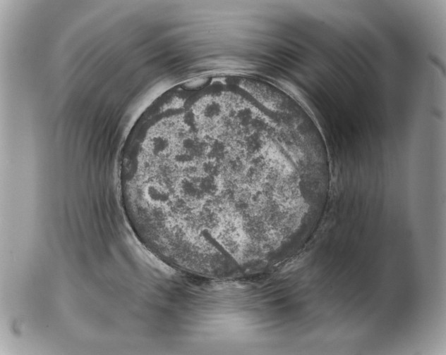 X0000101151243200807251041