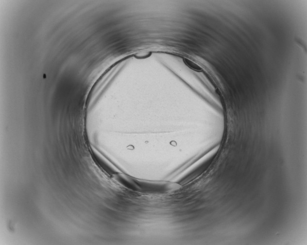 X0000101151244200807251041