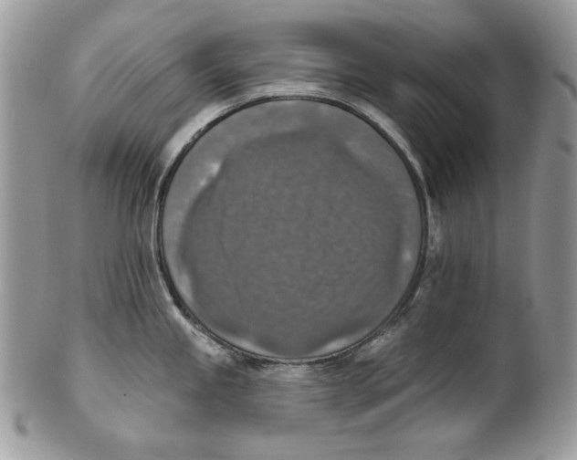 X0000101151245200807251041