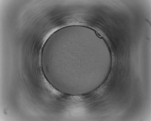 X0000101151246200807251041