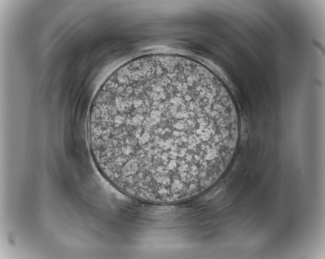 X0000101151247200807251041