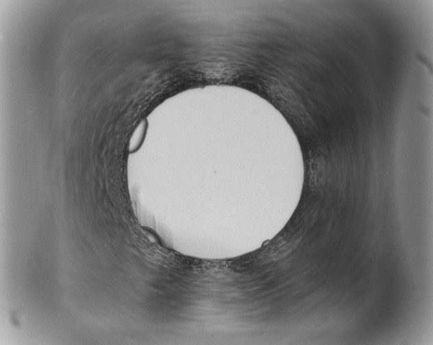 X0000101151249200807251040