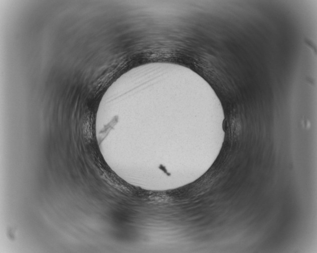 X0000101151250200807251040