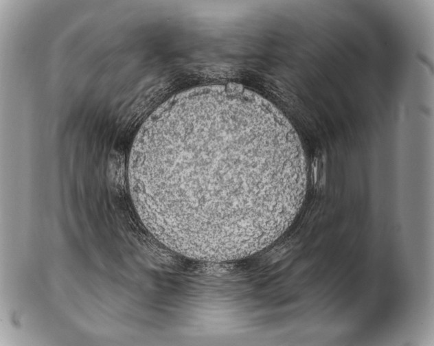 X0000101151251200807251040